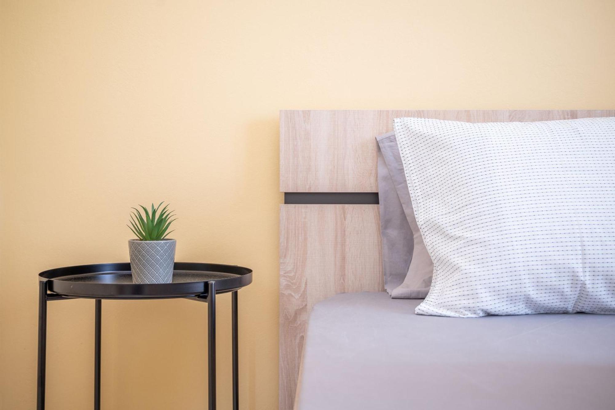 Araucaria Apartments Tsilivi  Zewnętrze zdjęcie